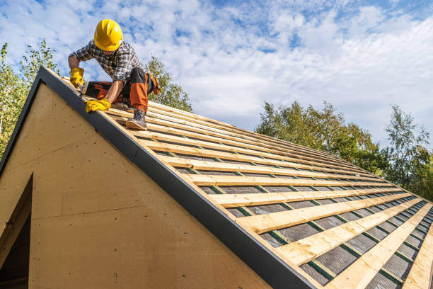 Best Roof Gutter Cleaning  in Assumption, IL